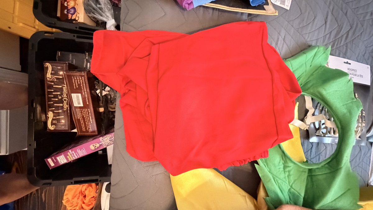 Halloween costumes , photo 7