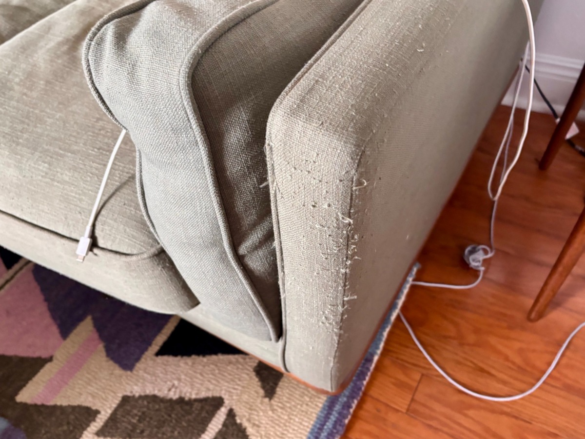 Couch and Chair Set, photo 4
