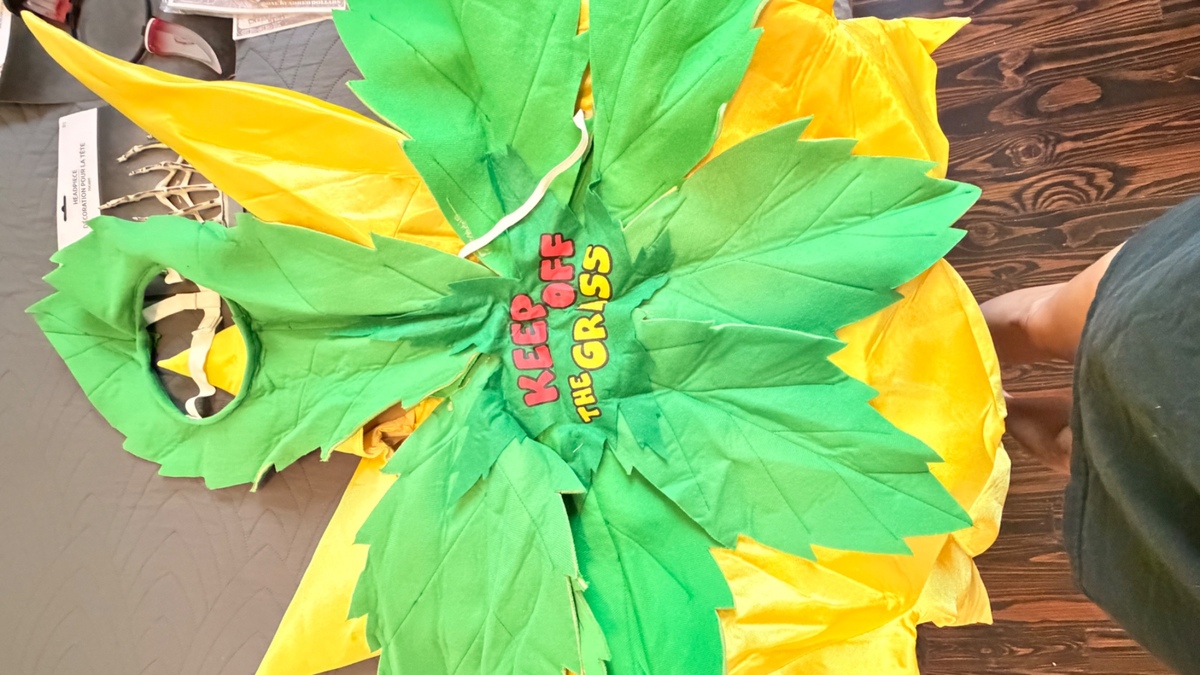 Halloween costumes , photo 5