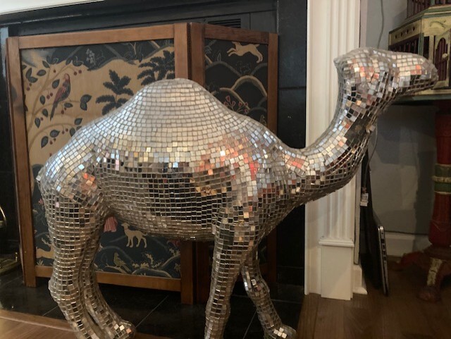 Vintage Disco Came, photo 2