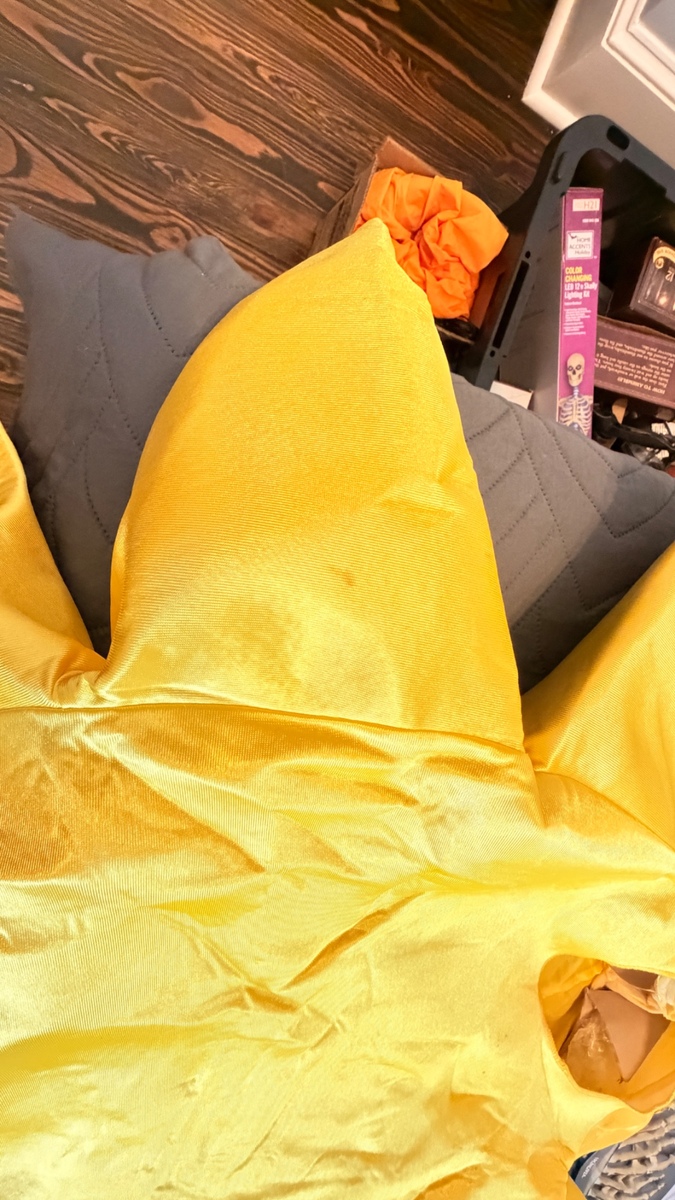 Halloween costumes , photo 3