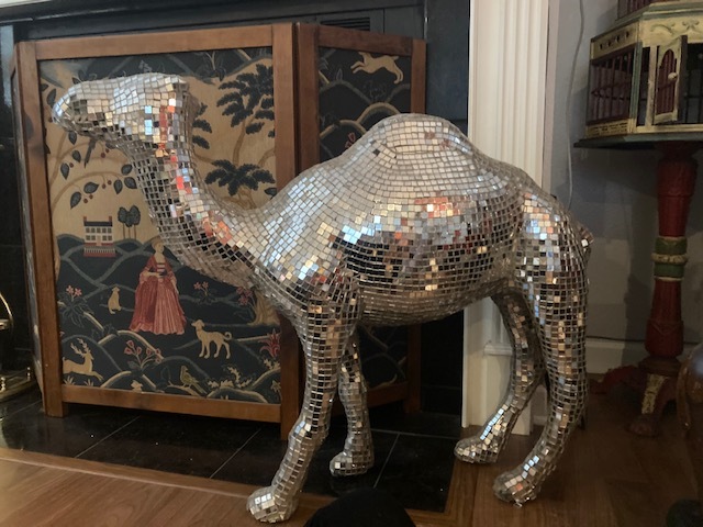 Vintage Disco Came