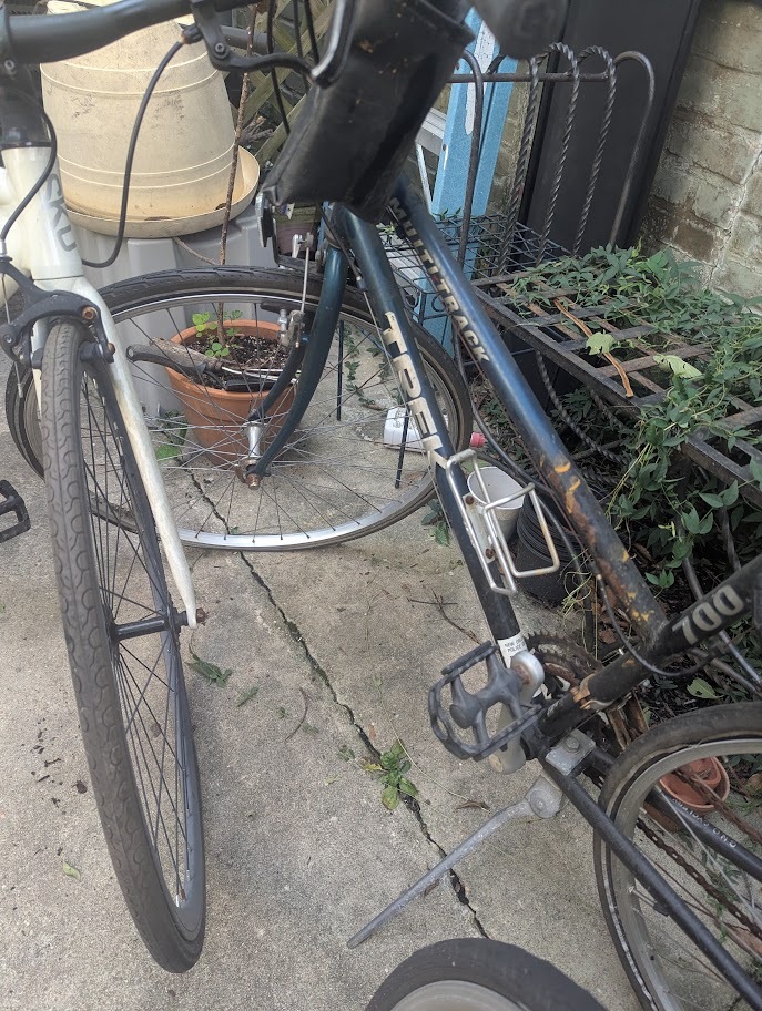 Bikes, photo 6